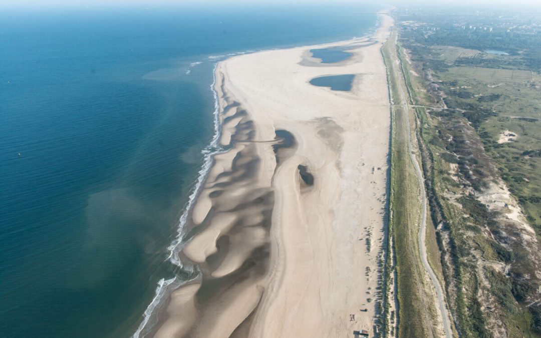 La Taula de Consens participa en unes jornades de treball als Països Baixos amb la mirada posada al delta de l’Ebre