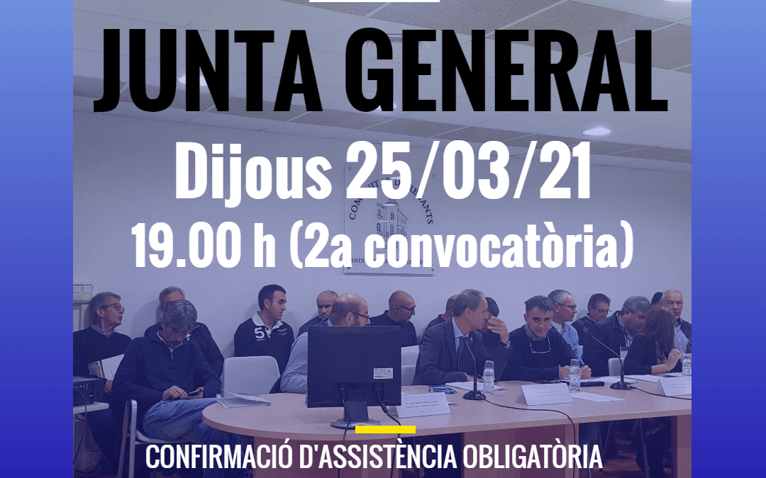 Junta General