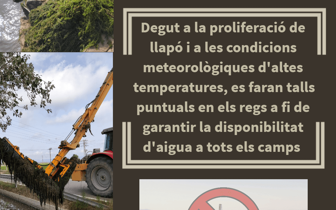 Talls de reg puntuals