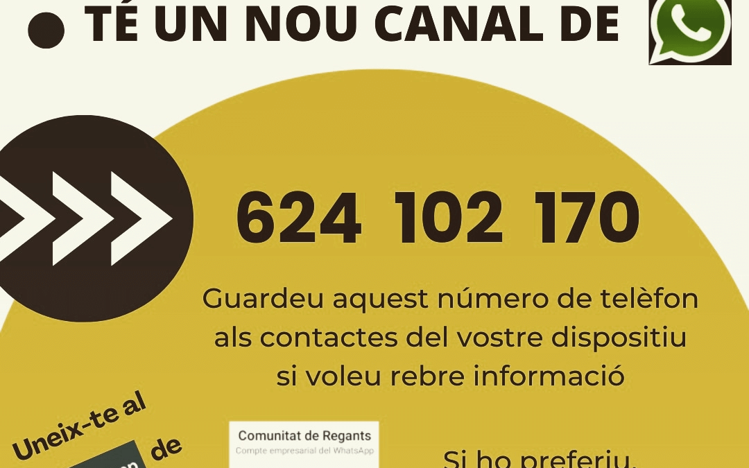 Canal WhatsApp