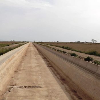 La Comunitat obté l’aval de l’assemblea general per tancar el Canal a la plana deltaica durant l’hivern per reduir costos