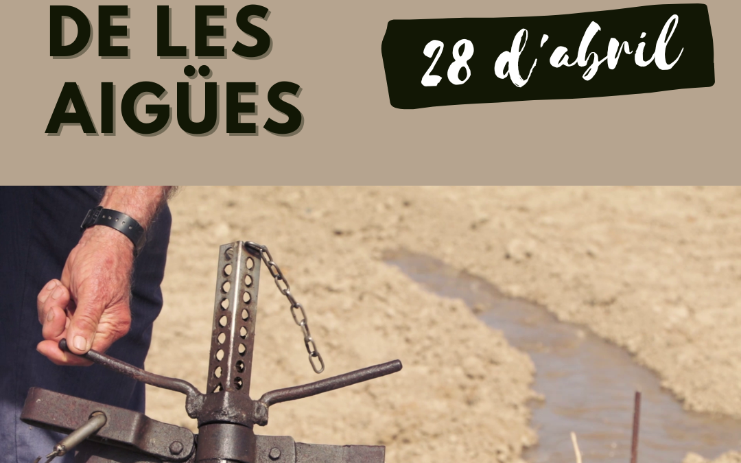 Soltada de les aigües