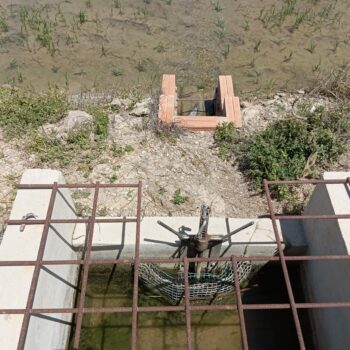 La Comunitat implementa un pla estratègic davant l’eclosió de la plaga del cargol poma a l’hemidelta esquerre