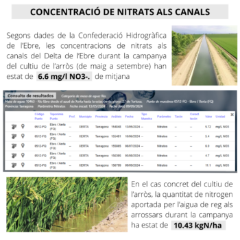 Informe del contingut de nitrogen en l’aigua de reg dels canals del Delta en el període del cultiu de l’arròs