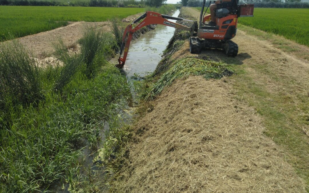 La Comunitat rep un ajut de 135.000 € per al control de la vegetació en la xarxa de reg i desguàs amb mitjans mecànics i manuals
