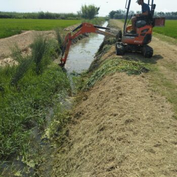 La Comunitat rep un ajut de 135.000 € per al control de la vegetació en la xarxa de reg i desguàs amb mitjans mecànics i manuals