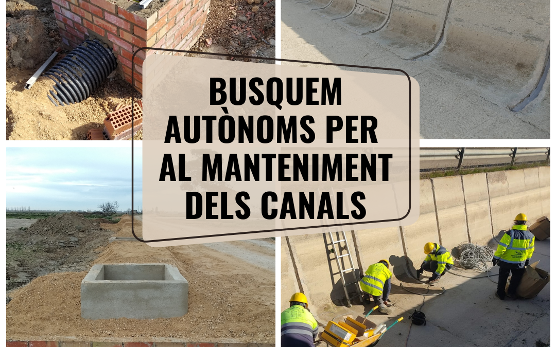 250124_Borsa autònoms